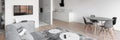 White and gray apartment, panorama Royalty Free Stock Photo