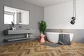 White and gray bathroom corner, tub and sink