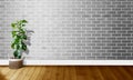 White gray brick walls with wooden floors and tree with natural light For background photography Royalty Free Stock Photo