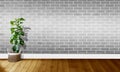 White gray brick walls with wooden floors and tree with natural light For background photography Royalty Free Stock Photo