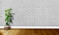 White gray brick walls with wooden floors and tree with natural light For background photography Royalty Free Stock Photo