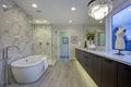 White and gray calcutta marble bathroom design