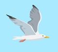 White and gray flying seagull in sky. Royalty Free Stock Photo
