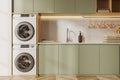 White and gray laundry room interior