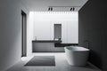 White gray loft bathroom, tub and sink, side view Royalty Free Stock Photo