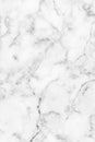 White gray marble texture with subtle grey veins