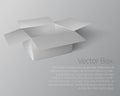 White gray open lid packaging box on isolated white background Royalty Free Stock Photo
