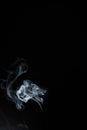 White Or Gray Smoke Isolated On Dark Background. Royalty Free Stock Photo