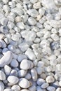 White and gray stones softly rounded and washed from sea water Royalty Free Stock Photo