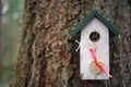 White and green birdhouse with hanging heart made from seeds Royalty Free Stock Photo