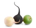 White green and black radish isolated on white background Royalty Free Stock Photo