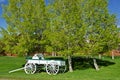 White and Green Buckboard Royalty Free Stock Photo