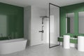 White and green home bathroom interior with sink, bathtub and shower