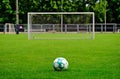 white and green soccer ball closeup. green grass football field with blurred white goal post and net. Royalty Free Stock Photo