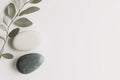 White and Green Stones with Eucalyptus Branch on White Background Royalty Free Stock Photo