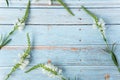 White-green wildflowers on a light wooden background. Beautiful bouquet on a blue background. Delicate flower buds. Romantic mood Royalty Free Stock Photo