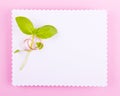 White greeting card with wavy edge is decorated with wedding rings and green plan on pink background. Royalty Free Stock Photo