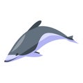 White grey dolphin icon, isometric style