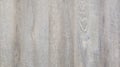 White grey floor like wooden texture as background of planks in pattern of wood wall Royalty Free Stock Photo