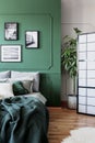 White, grey and green classy bedroom interior design Royalty Free Stock Photo