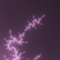 White, grey and pink mandelbrot fractal