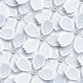 White and grey seamless pattern with sakura blossom Royalty Free Stock Photo