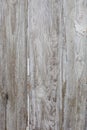 White/grey wood texture background with natural patterns. Floor. Royalty Free Stock Photo