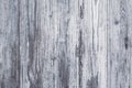 White/grey wood texture background with natural patterns. Floor. Royalty Free Stock Photo