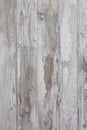 White/grey wood texture background with natural patterns. Floor. Royalty Free Stock Photo