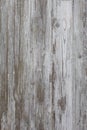 White/grey wood texture background with natural patterns. Floor. Royalty Free Stock Photo