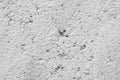 White grunge concrete wall texture with cracks Royalty Free Stock Photo