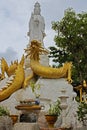 White Guan Yin on the golden dragon