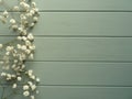 White Gypsophilia on green painted boards