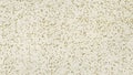 Textured white gypsum cardboard panel. yellow tint Royalty Free Stock Photo