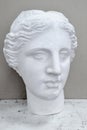 White gypsum statue Venus head. Plaster head bust