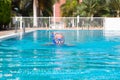 White haired senior man swimming in the outdoor pool, wearing a diving mask. Happy retiree and healthy lifestyle Royalty Free Stock Photo