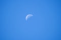 White half-moon on a clear blue sky Royalty Free Stock Photo