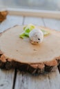 White hamster on the wooden beam