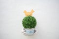 White hand holding plant with peace text on pot