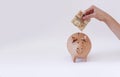 White Hand Putting Brazilian money in pig coin Royalty Free Stock Photo