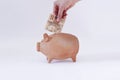 White Hand Putting Brazilian money in pig coin Royalty Free Stock Photo