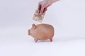 White Hand Putting Brazilian money in pig coin Royalty Free Stock Photo