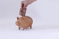 White Hand Putting Brazilian money in pig coin Royalty Free Stock Photo