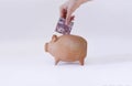 White Hand Putting Brazilian money in pig coin Royalty Free Stock Photo