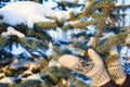 White handmade mittens on snow on blue spruce Royalty Free Stock Photo