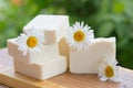 White handmade soap with chamomile flowers on a green background Royalty Free Stock Photo