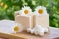 White handmade soap with chamomile flowers and silk cocoons on a green background Royalty Free Stock Photo