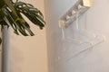 white hangers hang on the wall on hooks near a green indoor flower in an apartment, interior