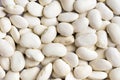 White haricot beans Royalty Free Stock Photo