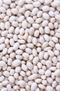 White Haricot beans Royalty Free Stock Photo